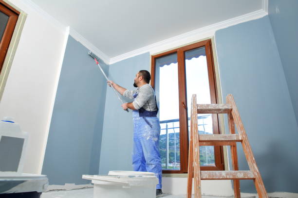 Best Trim and Molding Painting  in De Soto, KS